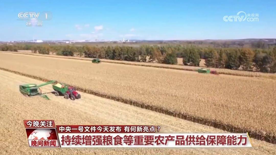 促进乡村全面振兴 今年中央一号文件有何新亮点？