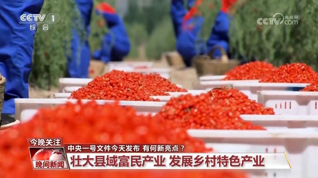 促进乡村全面振兴 今年中央一号文件有何新亮点？