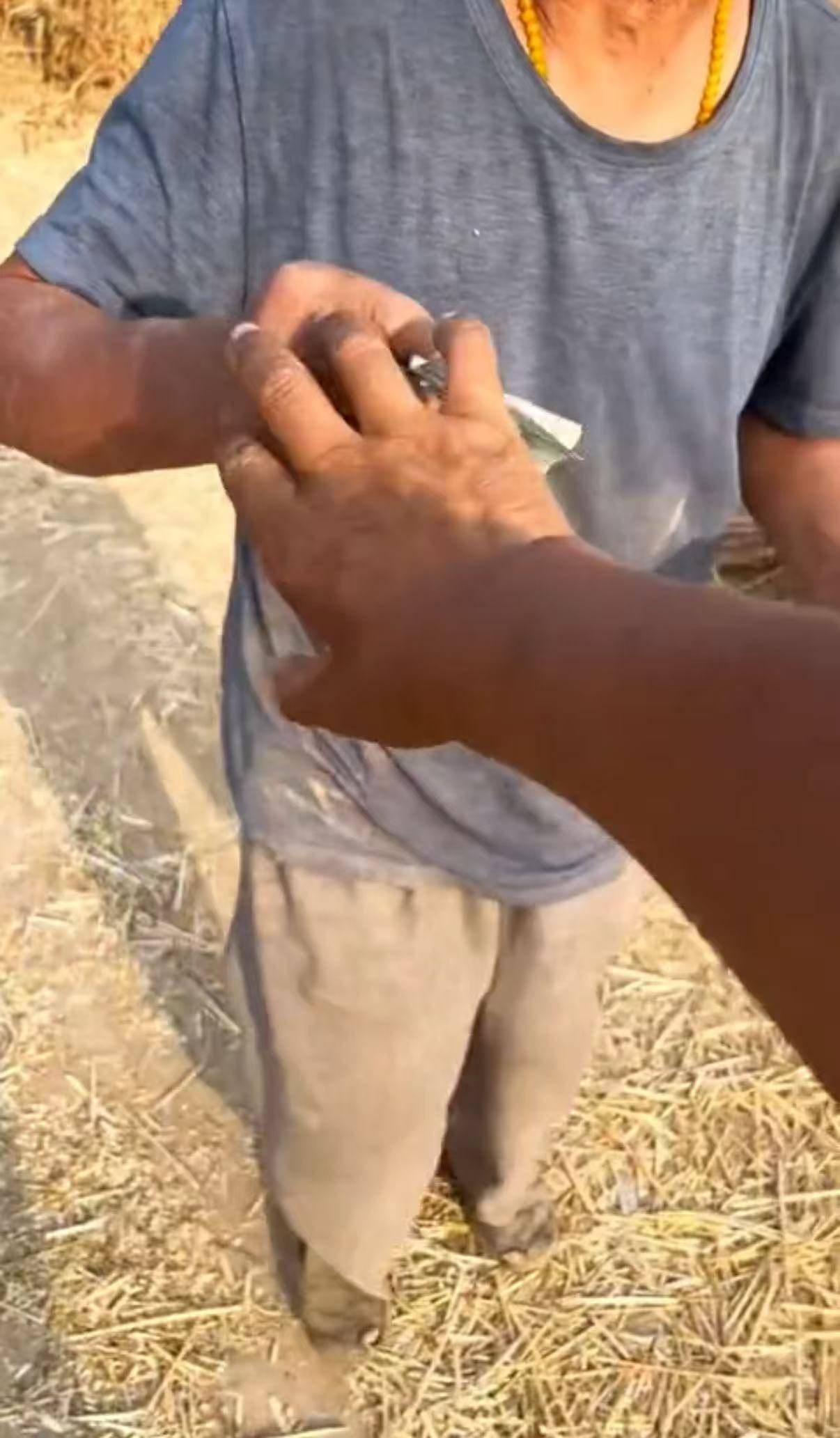 双向奔赴！河南男子安徽收麦遇老人用镰刀割麦，主动帮忙后被强行“投喂”饮料