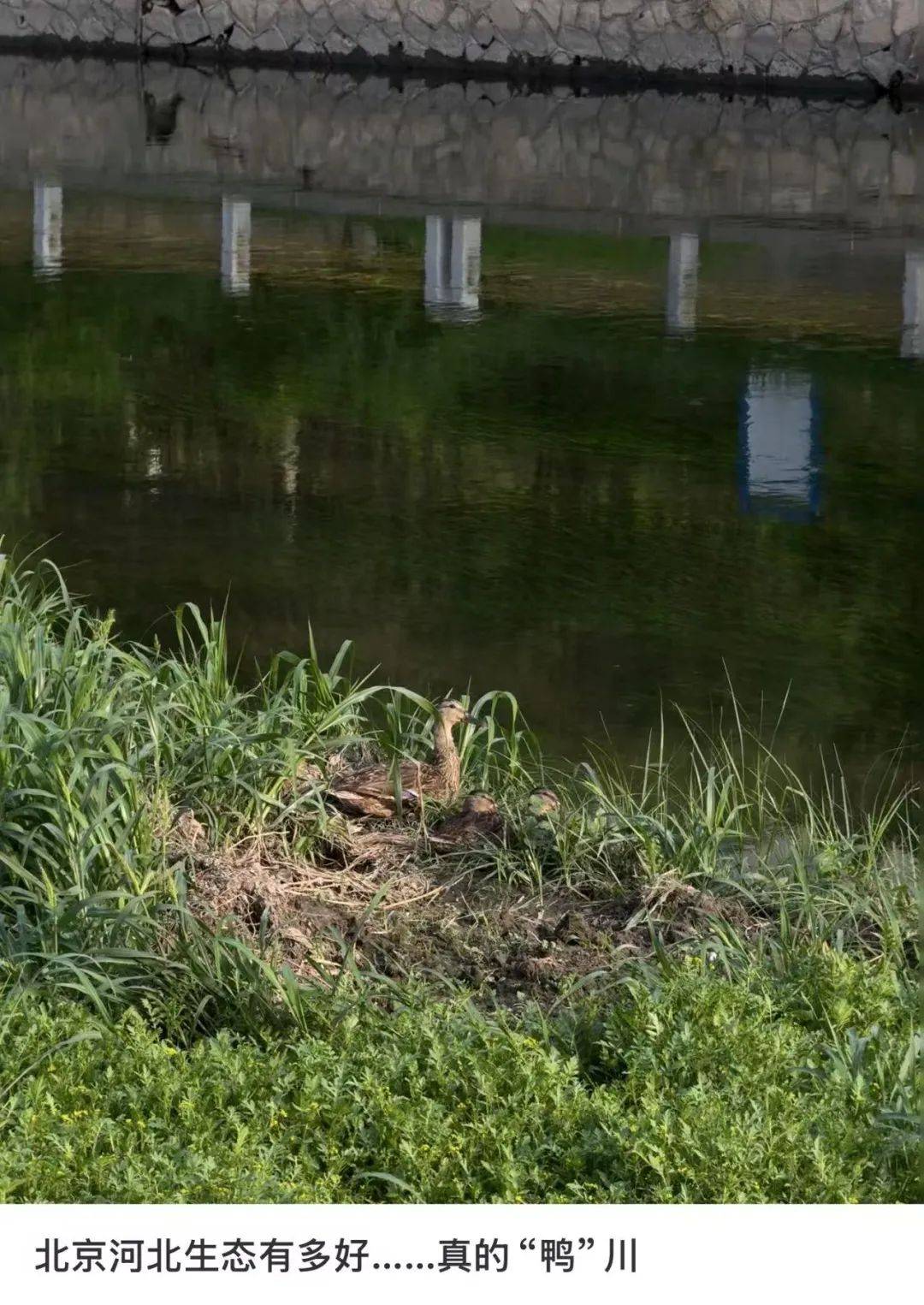 缺水的北京,被北漂强行玩成了威尼斯