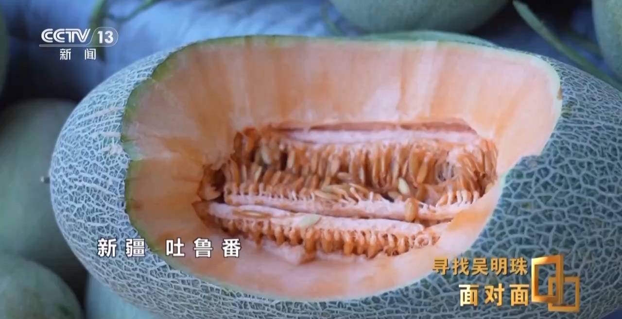 面对面丨中国人的吃瓜自由要感谢她!吴明珠说她的一生就是结几个好瓜献给人民