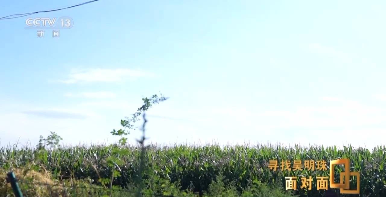 面对面丨中国人的吃瓜自由要感谢她!吴明珠说她的一生就是结几个好瓜献给人民