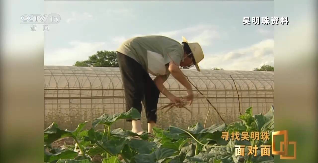 面对面丨中国人的吃瓜自由要感谢她!吴明珠说她的一生就是结几个好瓜献给人民