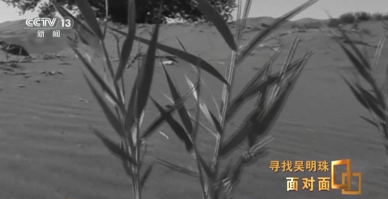 面对面丨中国人的吃瓜自由要感谢她!吴明珠说她的一生就是结几个好瓜献给人民