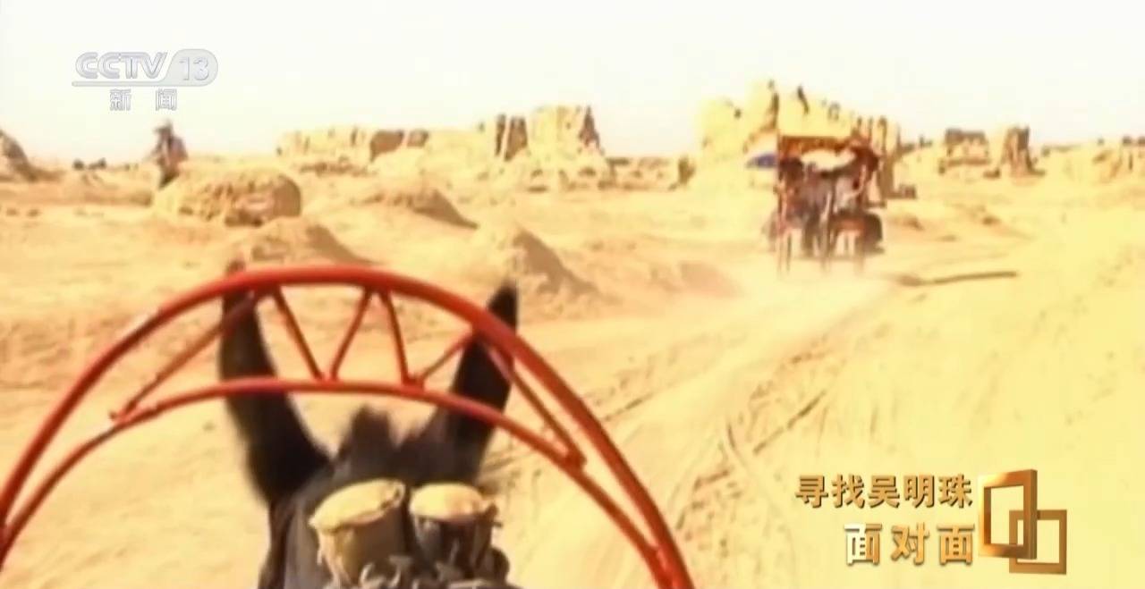 面对面丨中国人的吃瓜自由要感谢她!吴明珠说她的一生就是结几个好瓜献给人民