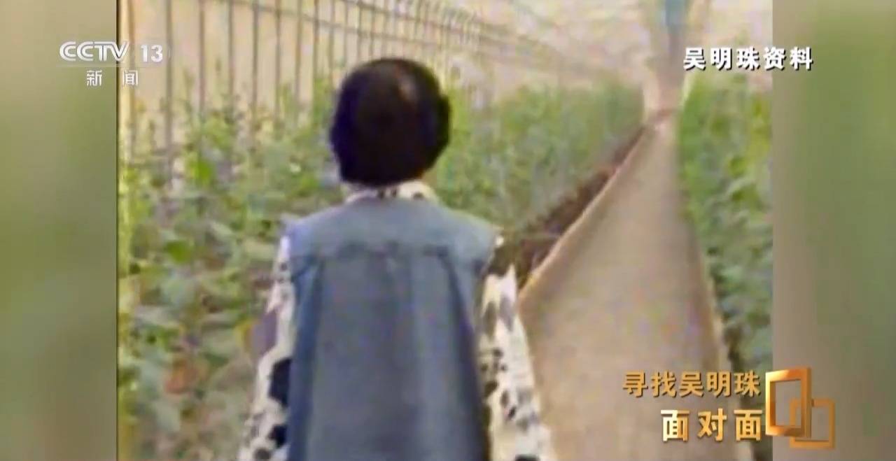 面对面丨中国人的吃瓜自由要感谢她!吴明珠说她的一生就是结几个好瓜献给人民