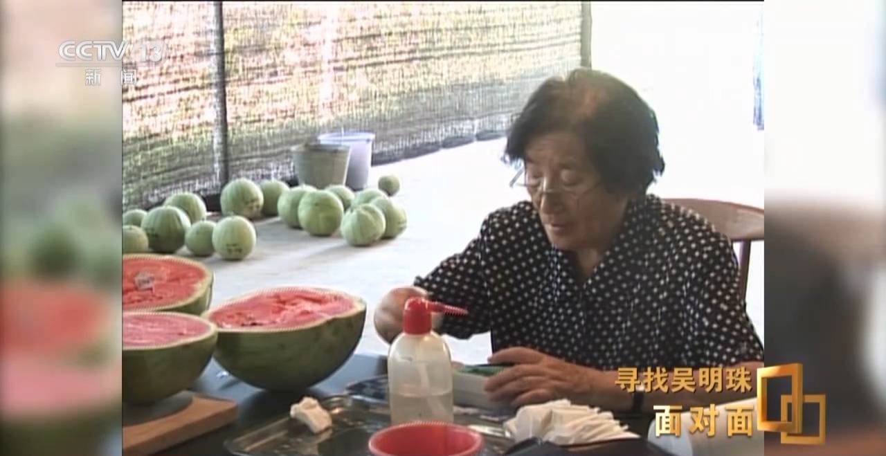 面对面丨中国人的吃瓜自由要感谢她!吴明珠说她的一生就是结几个好瓜献给人民
