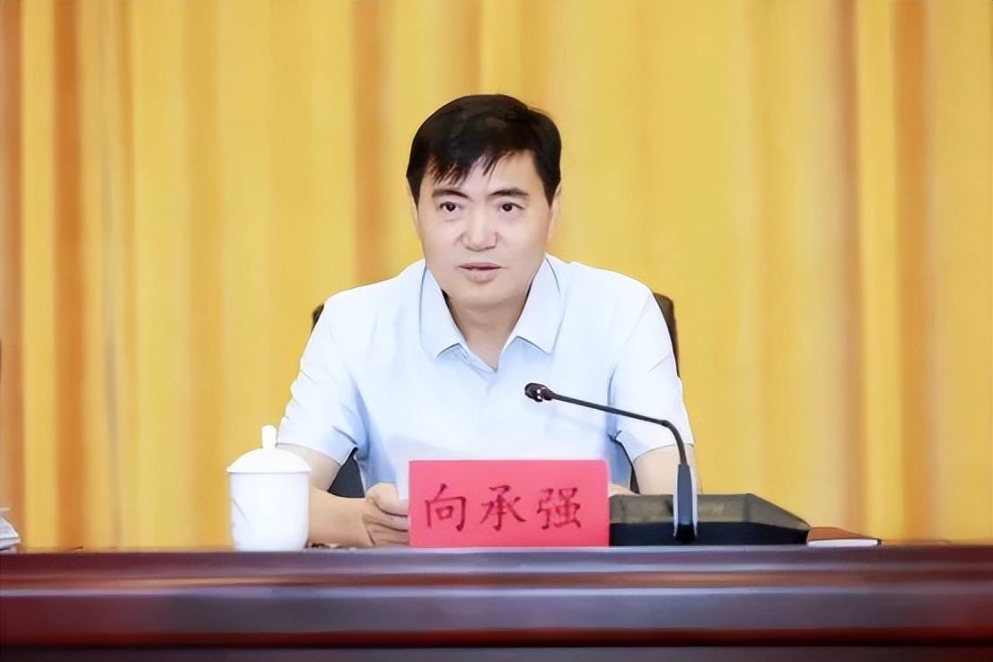 中央巡视期间,3名正厅任上被查