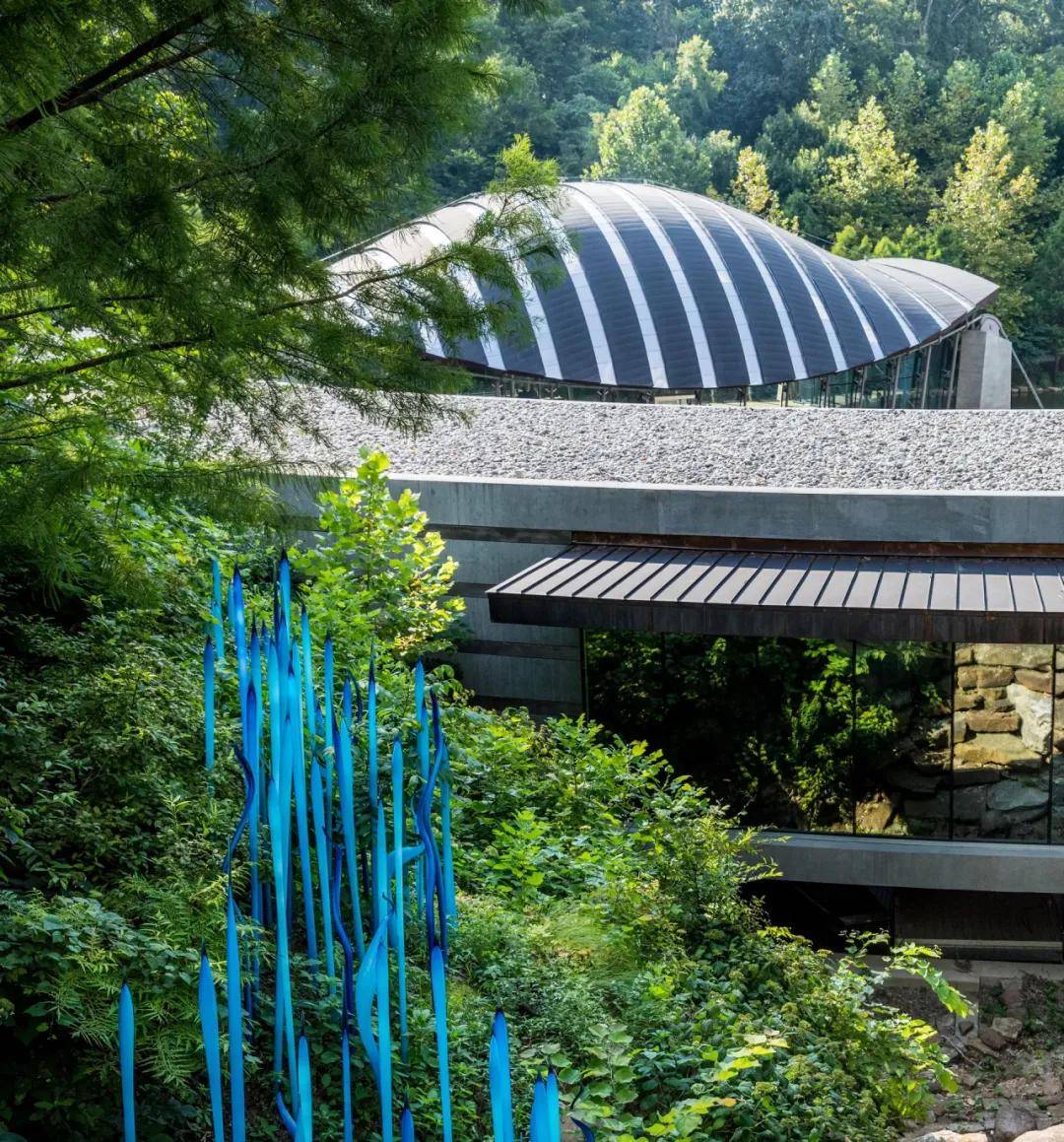 身家千亿美元的沃尔玛小公主：不上班，不生娃，只烧钱