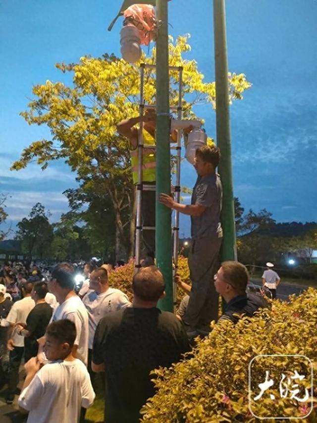 “鸡排哥”联手亲属摆出了5个摊位，隔壁阜阳摊主利润翻两番！