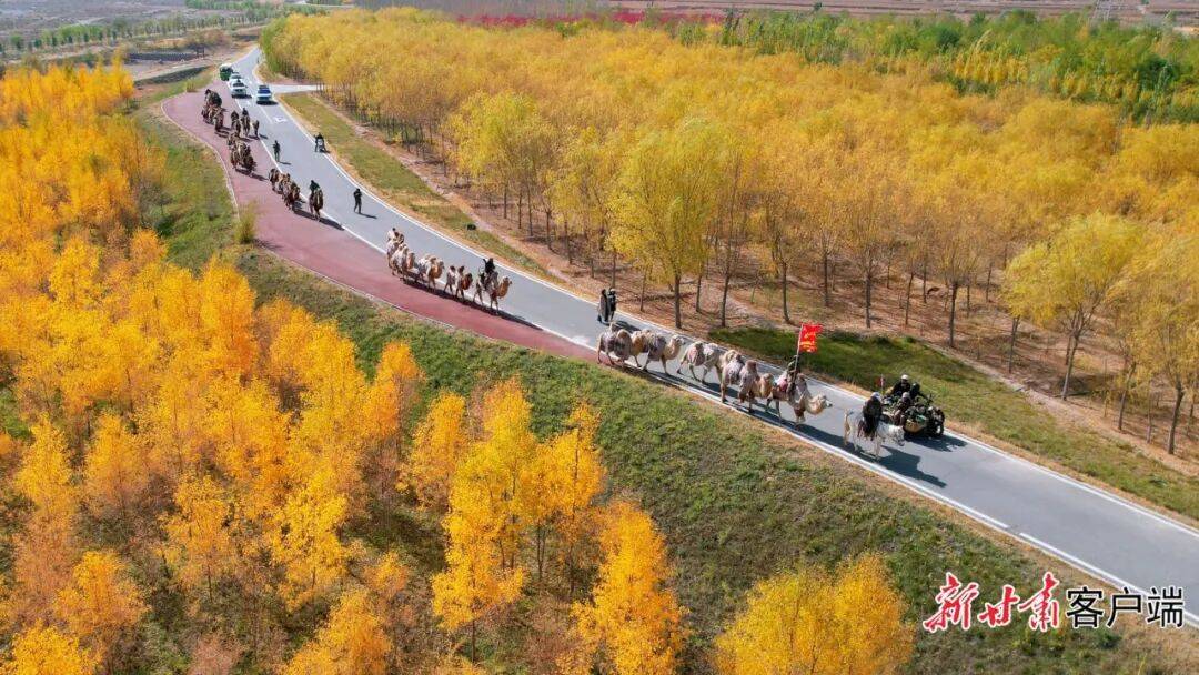 张掖甘州区:悠悠驼铃话丝路