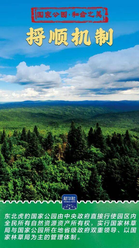 新华社：东北虎豹国家公园 猛兽家园野性王国
