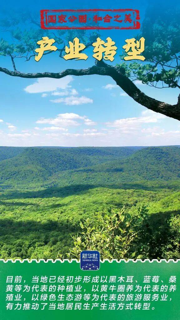 新华社：东北虎豹国家公园 猛兽家园野性王国