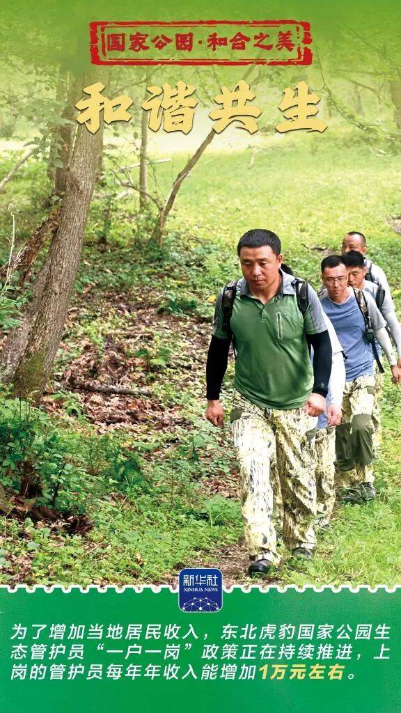 新华社：东北虎豹国家公园 猛兽家园野性王国