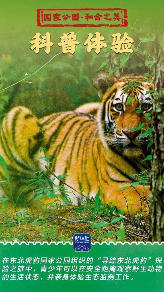 新华社：东北虎豹国家公园 猛兽家园野性王国