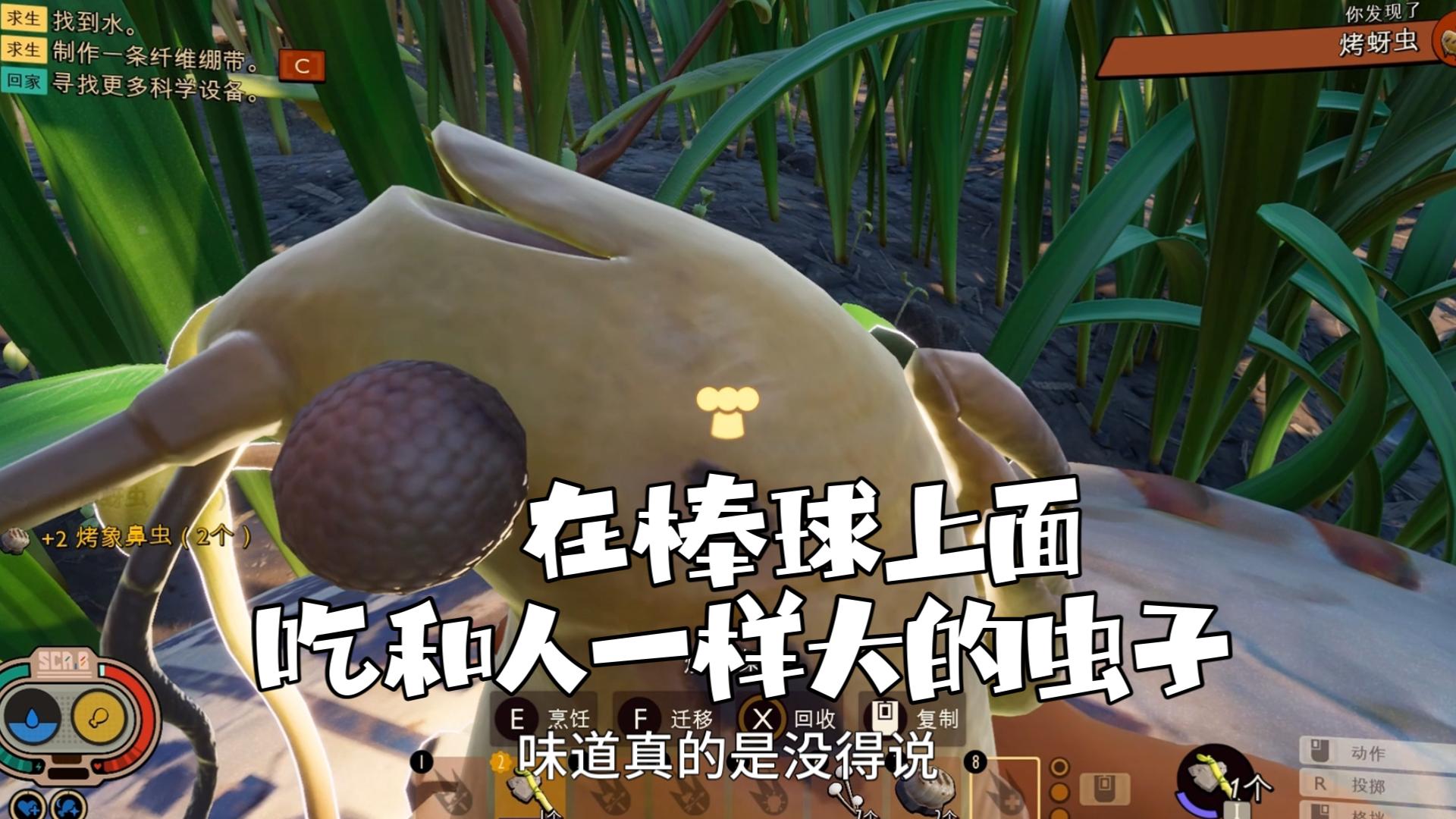 求求币(求求币吗)