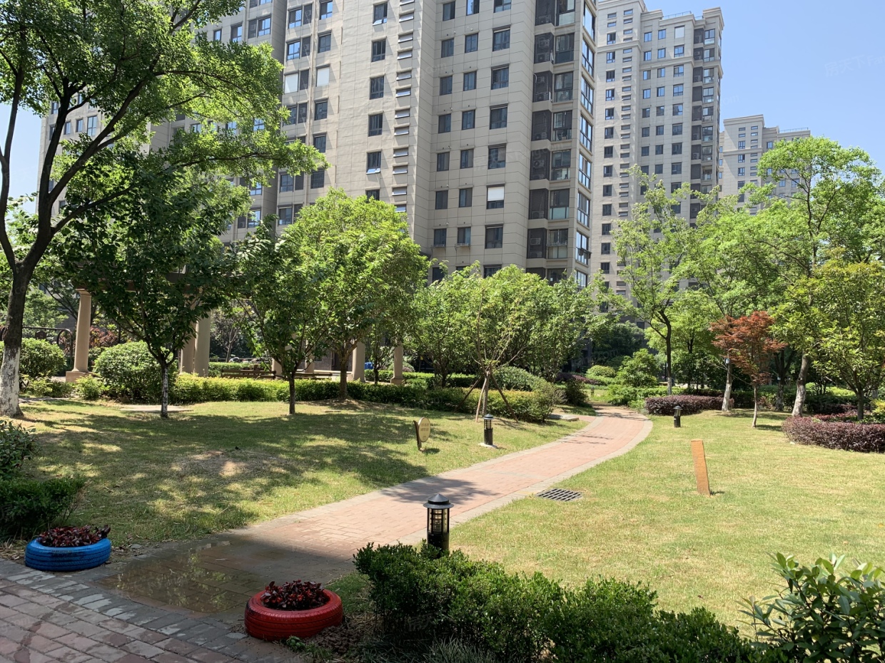 南京币天下(南京天下互联现状)