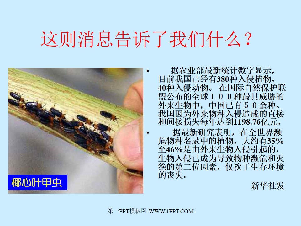 知币(知雨天气官方免费版)