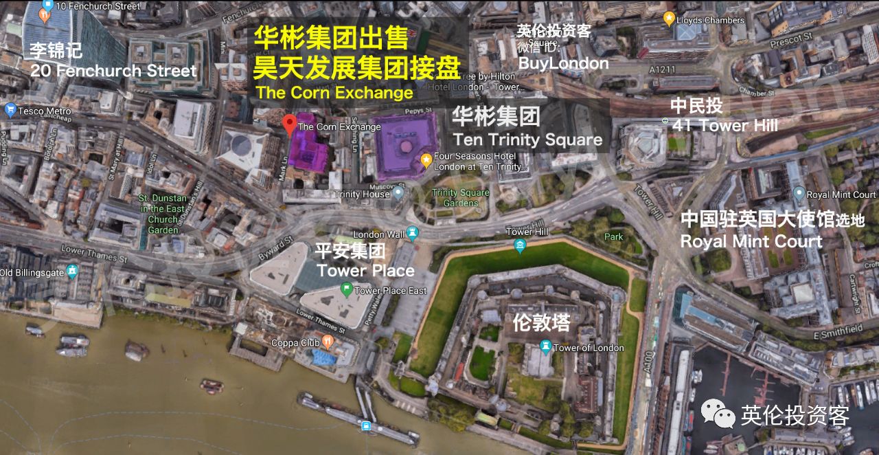 55交易所(51mex交易所)