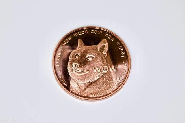 DOGE币(aldoge币)