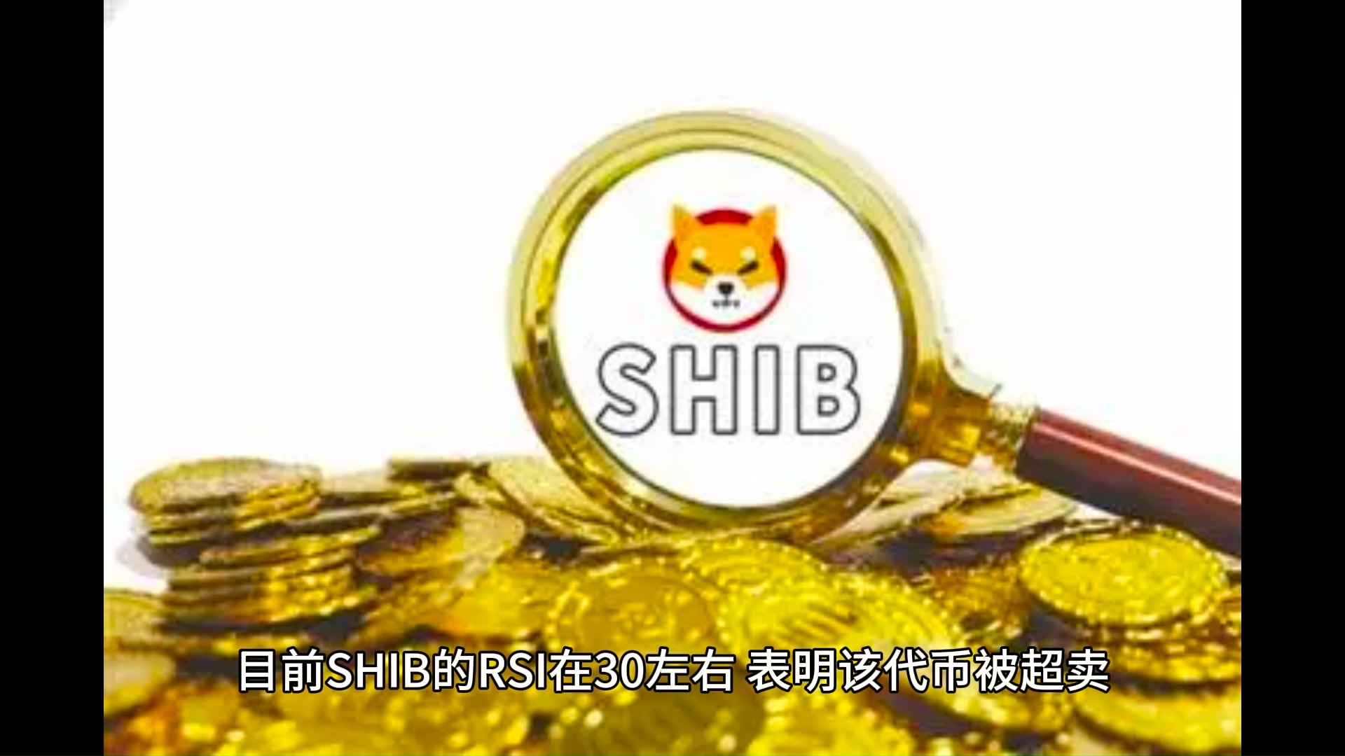 SHIB价格(shib价格行情)